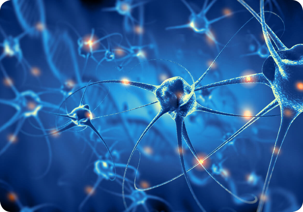 Kaj je MemoComplex®?