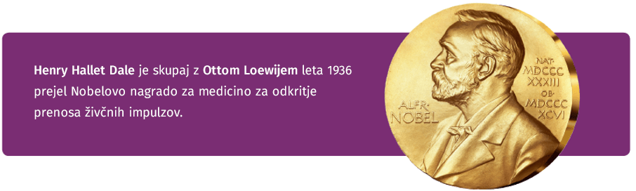 Cholina na miarę Nobla